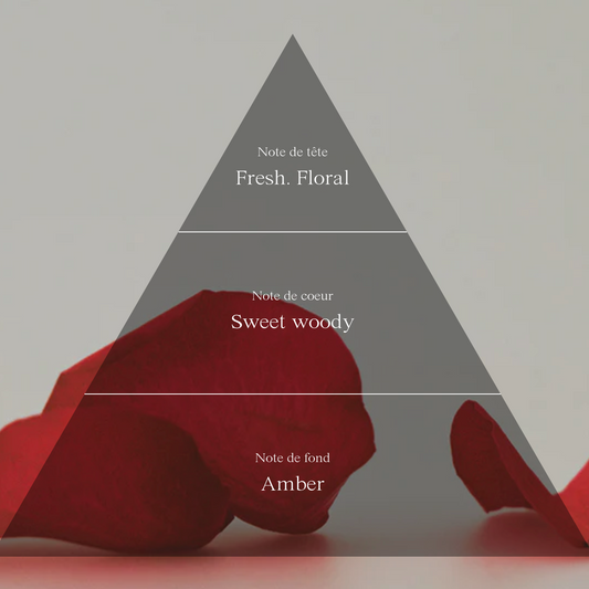 Dry Body Oil |Lost Alhambra