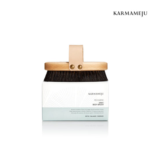 Recharge Ionic Body Brush
